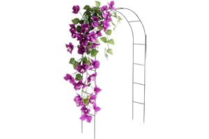 DIVCHI Black Metal Garden Arbour Arch Steel Frame Garden Arch for Climbing Plants, Roses