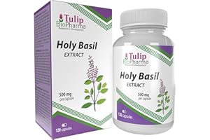 TULIP BIOPHARMA ALBAHACA SANGRADA (HOLY BASIL) Equivalente de 5000mg (500mg de extracto 10:1) 120 cápsulas, Alta potencia, sin gluten, sin OGM