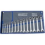14tlg I 8-22mm I HASKYY Ratschenschlüssel-Set I 15° Arbeitswinkel I Gabelschlüssel Ratschen-Schlüssel-Satz Maulschlüssel