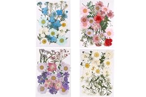 ruggito 140 Pcs Natural Pressed Dried Flowers and Green Leaves, 4Pack Mixed Real Dried Flowers for Scrapbooking/Nail Art Decor/DIY Art Makeup Floral