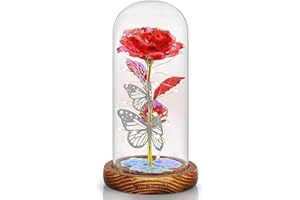 ZAJCI Rose Eternelle sous Cloche Cadeau Femme avec LED Lumières - Saint Valentin Rose Eternelle avec Fleurs de Lumineuses pour Elle, pour Fête des Mères, Mariage, Noël, Anniversaire (Rose)