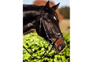 KERBL Bridon Standard pour Cheval de Selle Brun