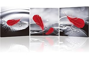 PIY PAINTING Quadri con Cornice Moderni per l'arredamento del Soggiorno, Stampa Artistica su Tela, Piume Rosse Artistiche Stampe Foto su Tela, 3 Pezzi Immagini da Parete Come Regalo 30x30cm