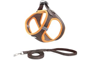 Suredoo Hundegeschirr mit Leine Anti Zug Geschirr Reflektierend Brustgeschirr für Kleine Hunde, Haustiere, Welpen, Katzen (Braun Orange, XXS)
