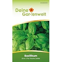 Basilikum Samen (Grün) | Basilikumsamen | Saatgut für Basilikum-Pflanzen | Kräutersamen