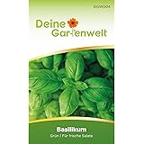 Basilikum Samen (Grün) | Basilikumsamen | Saatgut für Basilikum-Pflanzen | Kräutersamen