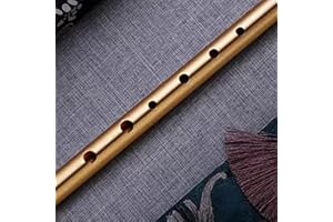 PETSTIBLE 6 Hole Flute C/D Key Irish Whistle Ireland Tin Penny Flute Woodwind Musical