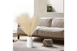 Towwoo Erba di Pampa, 80cm Grandi Fiori Secchi Artificiali, 5 pz Decorazione di Pampas Essiccati Naturali, Decorazione di Bouquet Secchi, Rami di Pampas Lunghi per Soggiorno Vaso da Pavimento di Casa