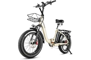 ‎HANEVEAR HANEVEAR Elektrofahrräder 20 Zoll E Bike Klapprad Pedelec 24Ah/48V Lithium-Akku | bis zu 140km, 250W Heckmotor, Hydraulische Bremse, Elektrofahrrad Trekking/City Pedelec für Damen und Herren