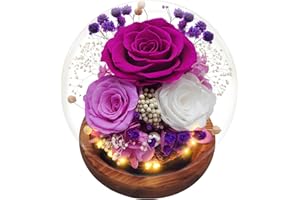 SUPRBEE Ewige Rose im Glas mit Licht, Infinity Rose für Frauen, Rosen Konservierte Blumen Deko für Mama Frauen Freundin Mädchen, Lila Eternal Rosen Geschenke für Weihnachten Valentinstag Geburtstag Jahrestag