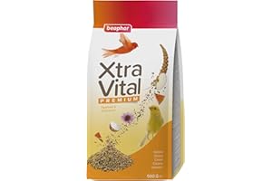 Beaphar Xtravital Canarios - Alimentación Premium - Contiene Frutas, Semillas y Cereales - Fortalece su Sistema inmunológico - Proporciona un Plumaje denso y Mantiene en Buena Salud - 500g