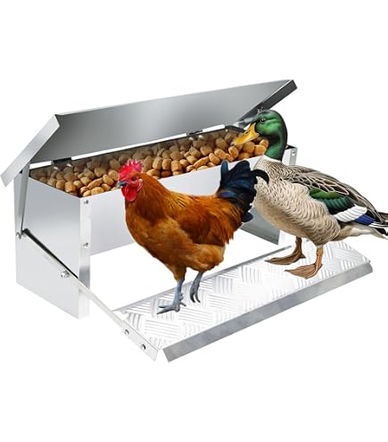 MUYIRTED Mangeoire Poules Métal 8 Kg - Distributeur Automatique Graines Volaille Avec Couvercle - Orange/Blanc