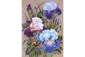 TRANSINO Diamond Painting Kit Completo Punto de Cruz Diamante Kits 5D Pintar por Números con Diamantes,Cuadros de Diamantes en Punto de Cruz,Puzzle de Diamantes Artes Manualidades Decoración del Hogar Flores