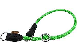 Aiminto Braided Collar, Pro Training Dog Collar, No Pull Round Martingale Collar, Slip Collar with Slidable Stop Ring - Ideal for Small Dogs (S (1/4") - 14" Long, Light Green)