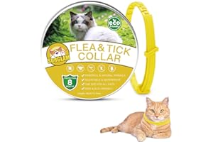 SURGLAM Collare Antipulci e Zecche per Gatti, Collare Antipulci per Gatti Impermeabile Misura Regolabile e Naturale con Protezione di 8 Mesi, pulci e zecche Trattamento Efficace per Gattini (1PC Giallo)