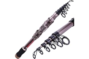 Sougayilang Combinaisons de Moulinet de Canne à pêche en Fibre de Carbone 24 tonnes avec Moulinet télescopique Portable pour Voyage