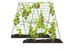 KMQRDZI Enrejado de metal para plantas trepadoras, soporte para plantas, adecuado para pepinos, soja, tomates y otras verduras, así como el enrejado de flores de luna, barra de soporte de tubo de acero, 120
