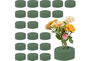 Pilikoll 20 Piezas Conjunto de Cilindro de Espuma Floral 8x4 cm Espuma Floral Húmeda en Color Verde Espuma Floral para Arreglos Florales Espuma de Flores Redondas para Bodas, Pasillos, Fiestas