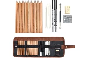 KIDSPARK Crayons de Dessin Crayons de Croquis, Easehome 29pc Artiste Set de Crayons à Dessin avec Sac Inclus Crayons D'esquisse Crayon Fusain Graphite Gomme Couteau Extenseur pour Enfants Adultes Dessiner