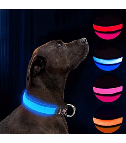 Collare Luminoso Per Cani Ricaricabile USB, Collare LED - Foto 5