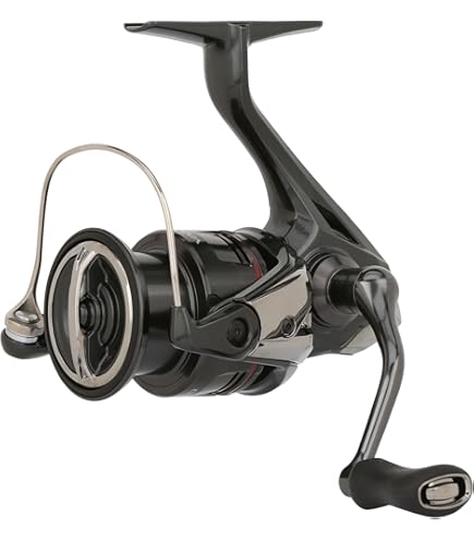 SHIMANO Vanford 4000 Spule : Amazon.de: Sport & Freizeit