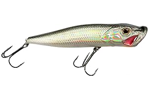 Expert Predator , Popper Bait Uomo, 3, 150 mm