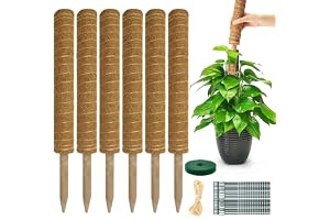 6 stjälkar av mossor för monstera utdragbar rak – expanderbart växtstöd för Monstera 6 st 42 cm flyttbar upp till 133 cm kokosstav plant mosspinne växtstöd krukväxter plant stöd stick