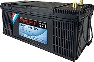 FLLEEYPOWER Bateria Litio 36V 100Ah Batería LiFePO4 Fosfato de Hierro y Litio Energía de Emergencia con más de 4000+ de Ciclo Profundo y Protección 100A BMS para el Kit de Panel Solar, RV, Marina, Casa