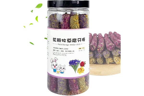 Bâtonnets à mâcher naturels pour furet - Friandises interactives saines pour petits animaux, écureuils, chinchilla, jouets de meulage des dents d'intérieur et d'extérieur