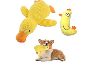Rienan 2 Stück Anti Stress Ente Hund, Hundespielzeug in Gelb, Hühner- und Entenspielzeuge, Verschleißfest und Bissfest, Setzen Die Energie des Hundes Frei