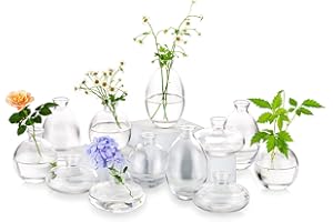 GLASSEAM Set Vasi Fiori Vetro Piccoli Decorativi: Glsseam 12Pezzi/4Set Trasparente Mini Vaso Interno Tavolo Eleganti Design Moderno Basic Art Centrotavola Vintage Per Soggiorno Casa Bomboniere Tulipani Rose