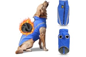 PETCUTE Manteau imperméable pour Chiens Veste pour Chien Taille Moyenne Grande Vetement chuads pour Chien