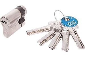 Tesa Assa Abloy M6504010N Cylindre de sécurité Standard T60 nickelé 40 x 10 mm Demi-Cylindre clé à Came Courte