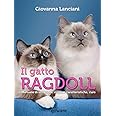 Il gatto Ragdoll. Manuale di istruzioni: origine, caratteristiche, cure