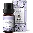 ASAKUKI Rosemary Essential Oil, 100% Natural Therapeutic Grade Oil for Hair Skin and Nails, Aromatherapy Oil for Diffusers