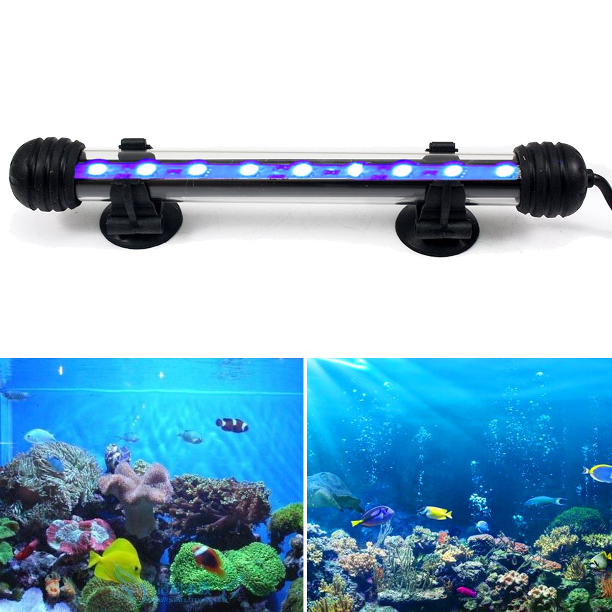 GreenSun LED Lighting 2W Submersible LED Aquarium Light, 12V 9 LEDs