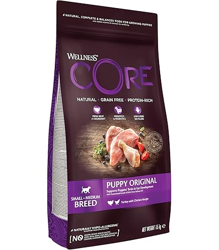 Wellness Core Dry Dog Puppy Ocean Salmon 1,5 Kg hond
