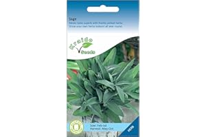 KRAIDO SEEDS Sage Herb 200 Seeds Salvia Officinalis, Grow Your Own Herb Garden Indoors on a Windowsill or Outdoors in Pots and Containers