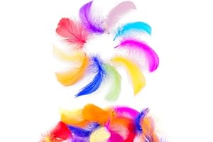 Firschoie 500 Pcs Plumes Colorées, Plume Decoration, Naturelles Plume, Plumes Loisirs Creatifs pour le Bricolage, Mariage, Attrape-Rêves, Plumes de Coiffure, Décoration de la Maison, 6-12cm