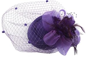 COSFAN Bandeau de Plumes pour Femmes des années 50, Barrette en Maille pour Visage avec Plumes, Accessoires de Cheveux pour Cocktail, thé, Mascarade