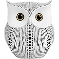 Owl Statue Decor (White) Small Crafted Buho Figurines for Home Decor Accents, Living Room Bedroom Office Decoration, Buhos Bookself TV Stand Decor - Animal Sculptures Collection BFF for Owls Lovers