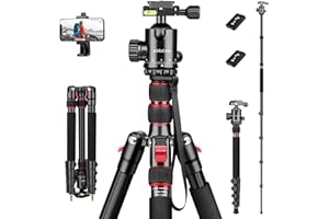 JOILCAN Statyw do aparatu, 189 cm, lekki, aluminiowy statyw jednonożny z głowicą kulową 360°, zdejmowany i uchwyt na telefon komórkowy, profesjonalny statyw do aparatu Canon Nikon Sony DSLR,