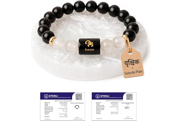 Astrotalk Zodiac Bracelet with Raw Selenite Plate | Healing Crystals for Protection & Emotional Balance | Citrine & Tiger Eye