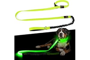 DQGHQME Collier lumineux pour chien et laisse LED 2 en 1 rechargeable avec type C, visibilité 500 m, bande élastique pour les promenades nocturnes