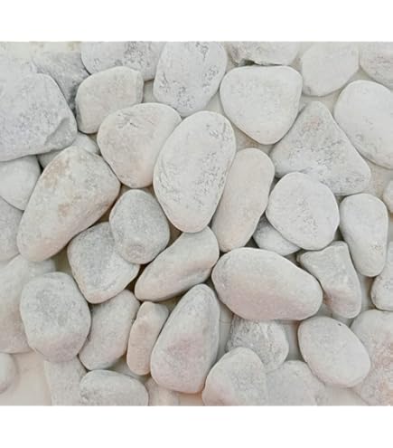 MORINA Pietre Bianche D. 15/25 MM. Sassi CIOTTOLI Bianco Carrara In