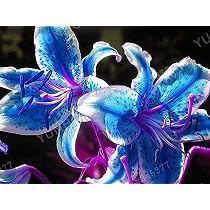 Pack of 2 Blue Lily Light Bulbs, Blue Lily Flowers, Royal Blue ...