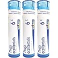 Boiron Thuja Occidentalis 6c Homeopathic Medicine for Warts - 3 Pack (Total 240 Pellets)