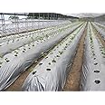 SVE SIDDHI VINAYAK ENTERPRISES 30 Micron 4 Feet 400 Meter Plastic Mulching Film Mulching Paper Black & Silver Multlayer Polyfilm
