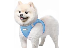 rabbitgoo Dog Harness Small Dog, Step-in Soft Mesh Puppy Harness with Reflective Strips, Lightweight Breathable Pet Vest for Walking Training, Light Blue, S