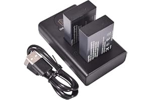 DSTE DE DSTE 2X LP-E17 Ersatz Batterie + Duales USB-Ladegerät mit LCD-Display Kompatibel mit Canon EOS M3, M5, 77D, 750D, 760, 8000D, 9000D, Kiss X8i, Rebel T6i, Rebel T6s, R10 Digital SLR Kameras